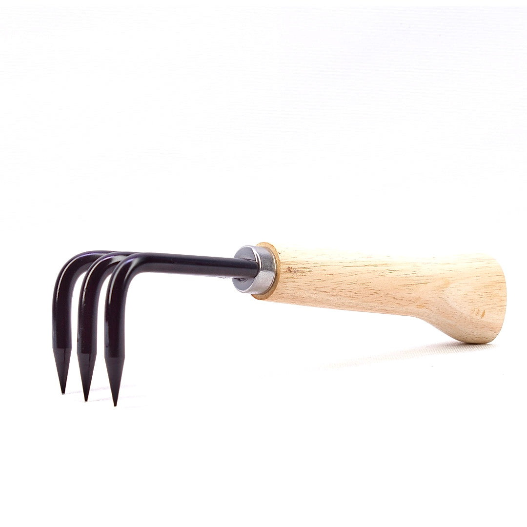 Wurzelkralle Dingmu 3 Zinken